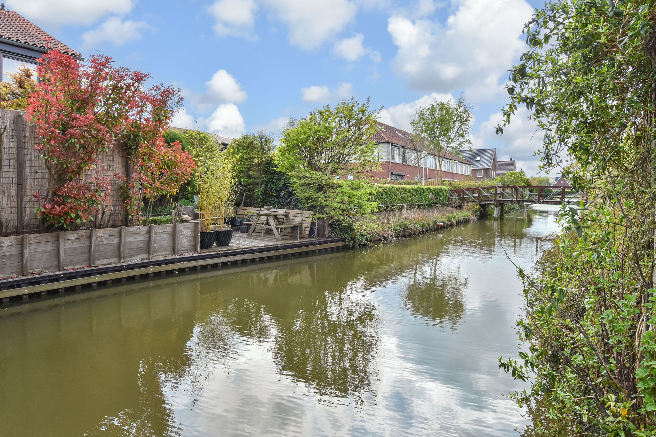 Foto 24 van Blauw Glidkruid 54