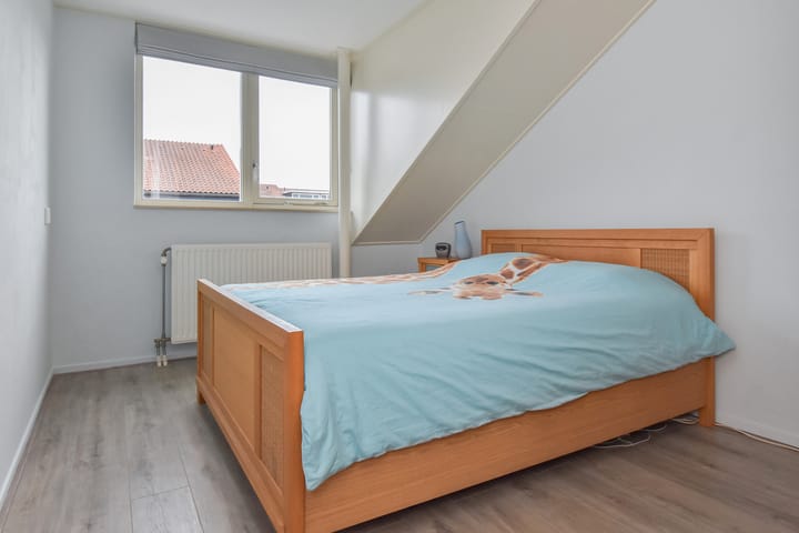 Foto 37 van Blauw Glidkruid 54