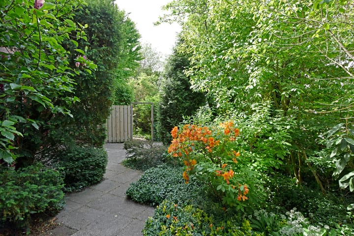 Foto 47 van Prolkade 9