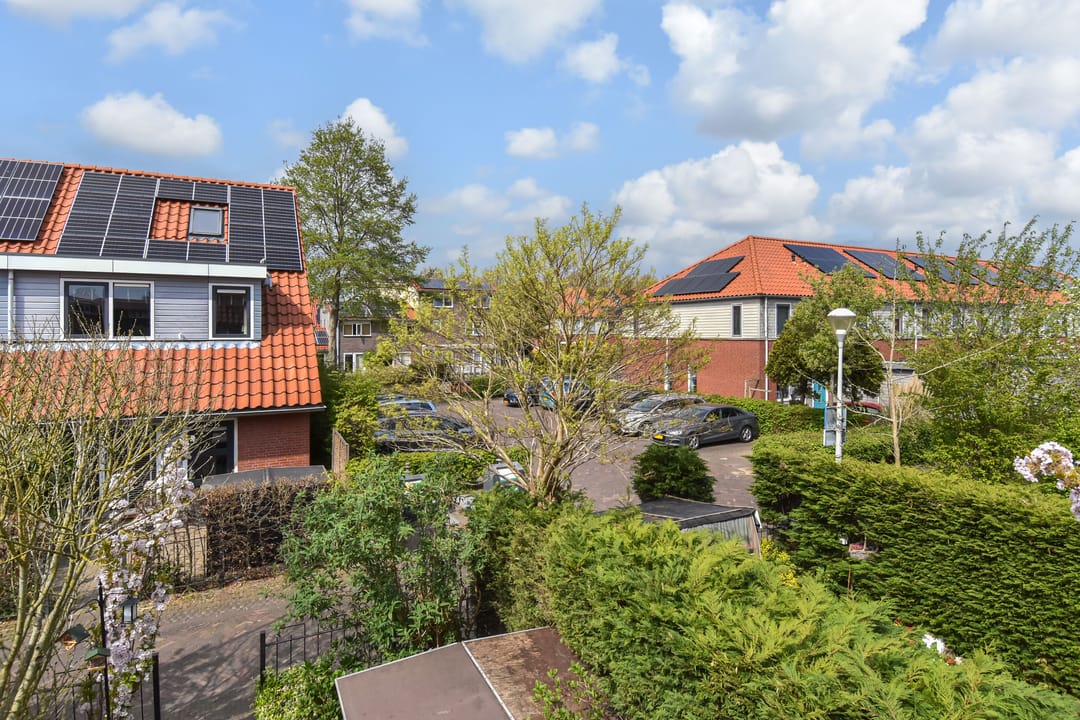 Foto 43 van Blauw Glidkruid 54