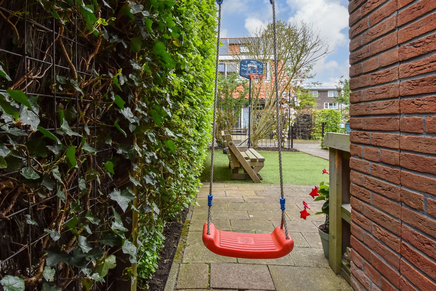 Foto 49 van Blauw Glidkruid 54