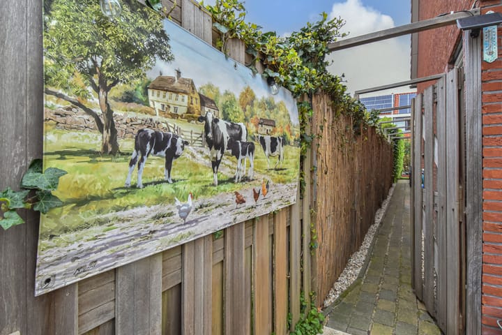 Foto 50 van Blauw Glidkruid 54