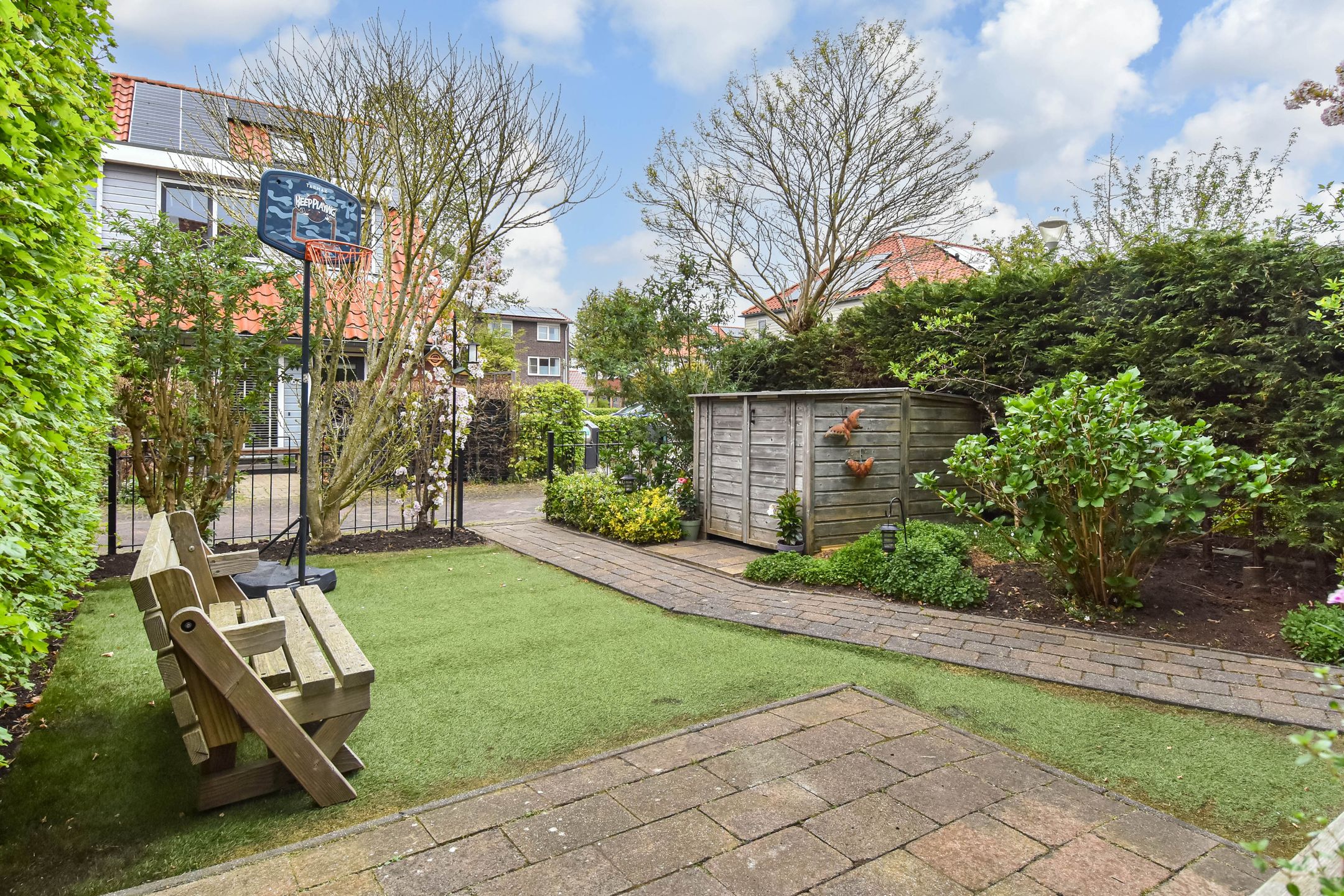 Foto 51 van Blauw Glidkruid 54