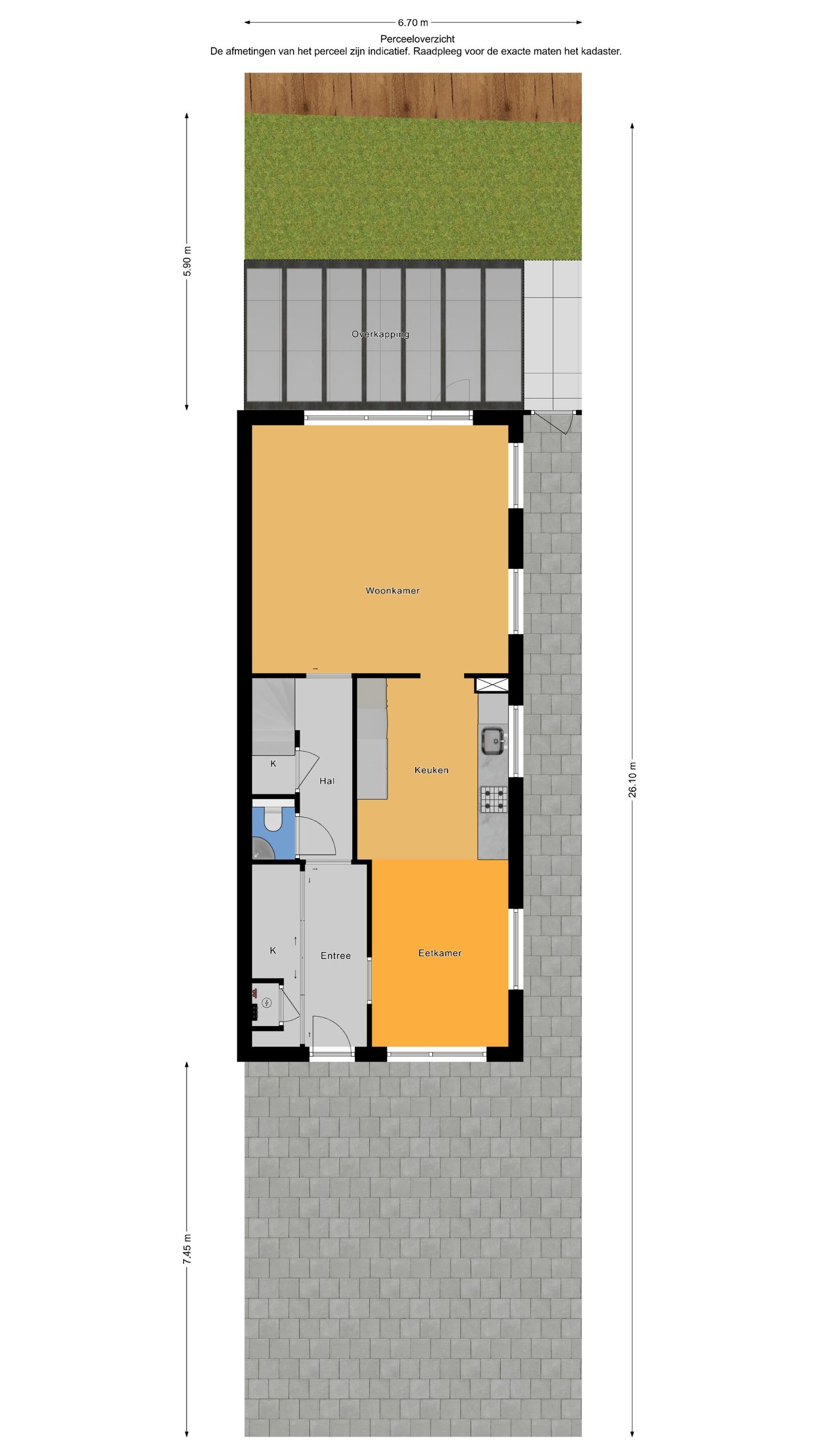 Foto 55 van Blauw Glidkruid 54