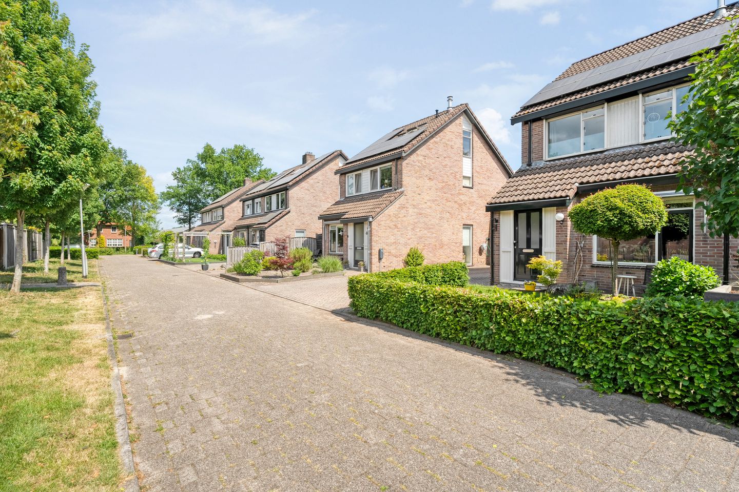 Photo 5 of De Karekiet 44