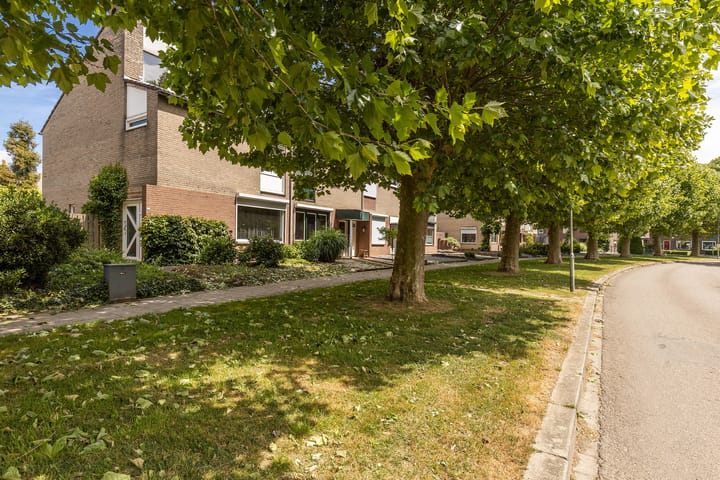 Foto 8 van Zwartdriesstraat 36