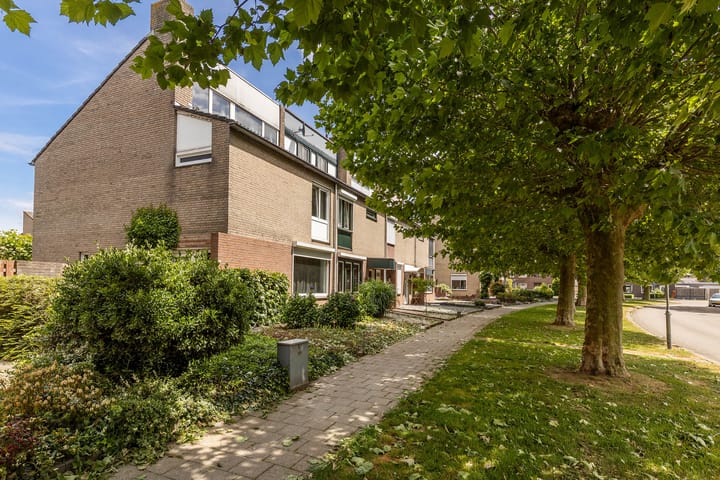 Foto 9 van Zwartdriesstraat 36