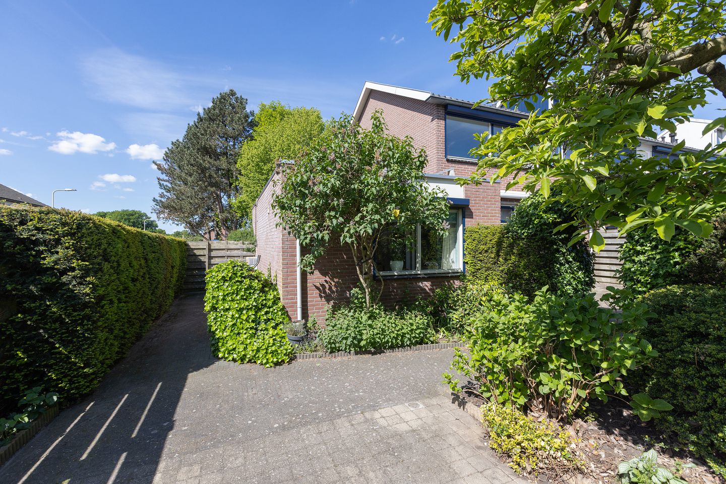 Foto 35 van Beukenlaan 81