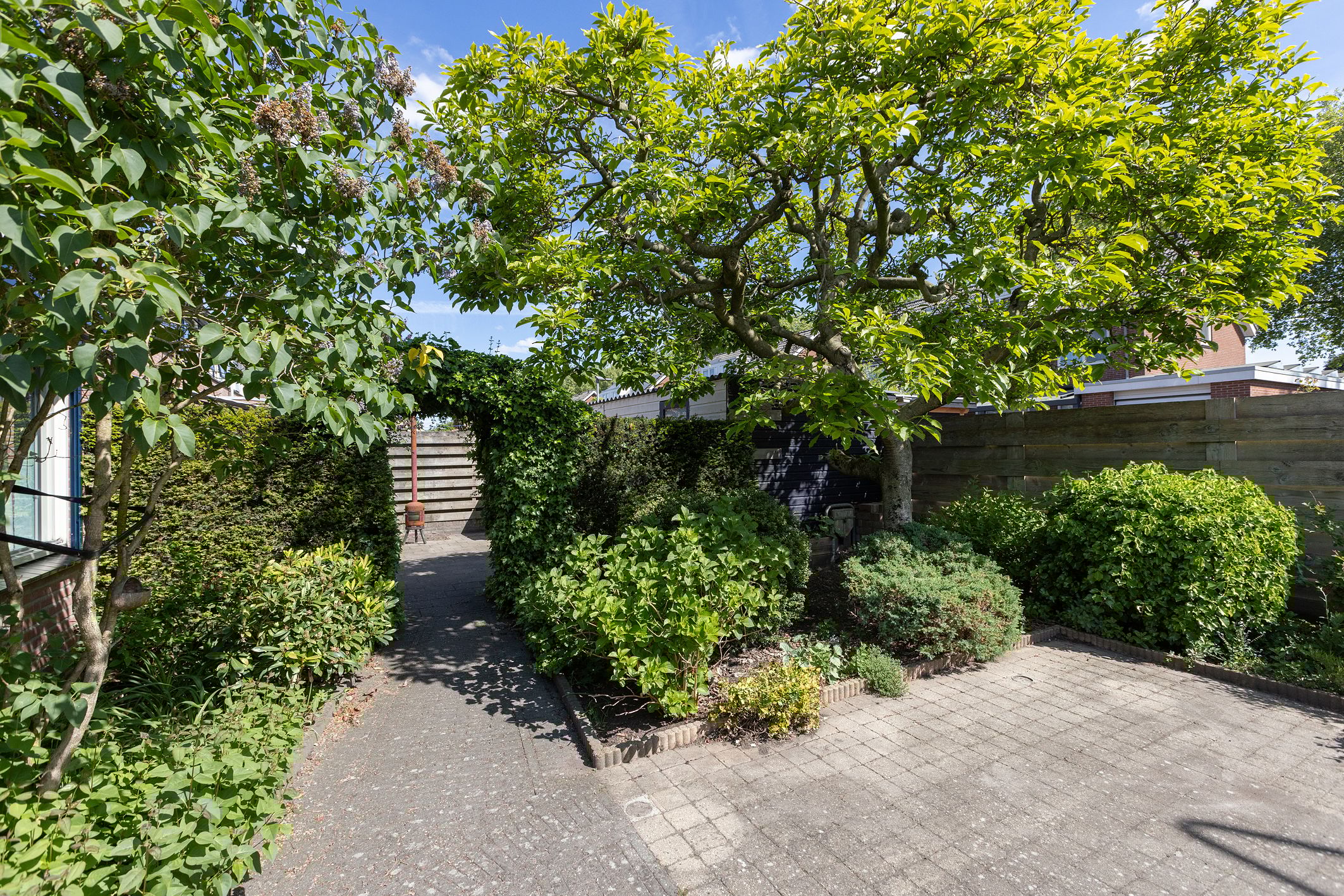 Foto 36 van Beukenlaan 81