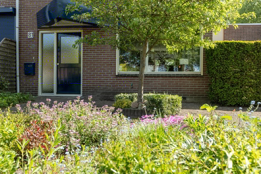 Foto 37 van Beukenlaan 81