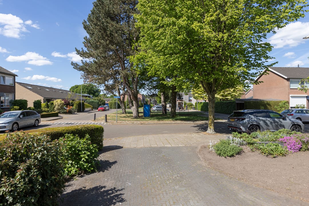 Foto 41 van Beukenlaan 81