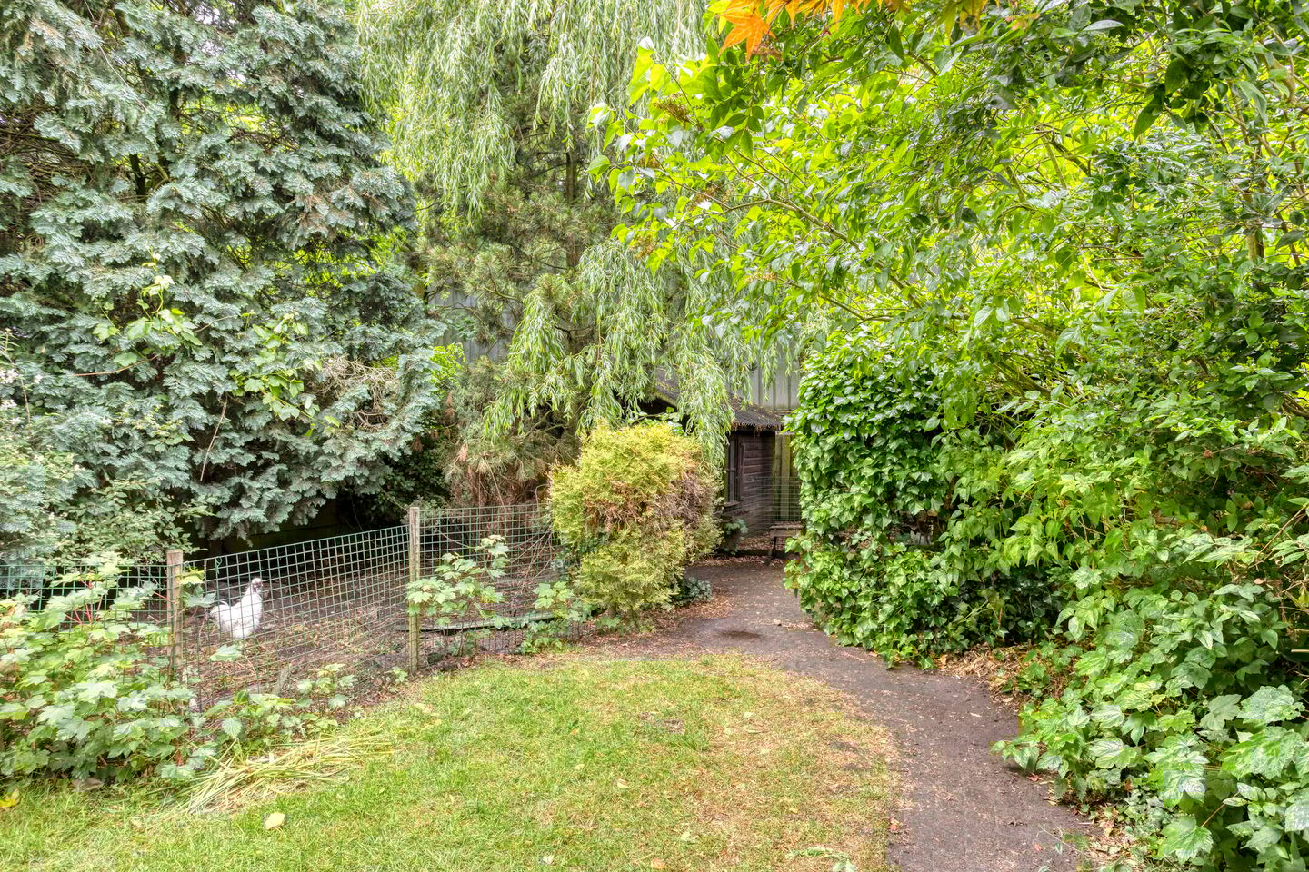 Photo 34 of Prins Bernhardstraat 7