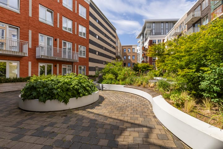 Foto 28 van Bart van der Leckhof 76