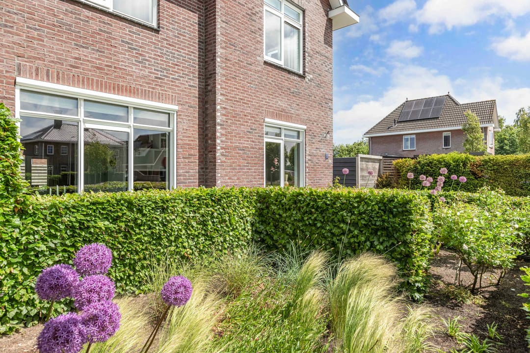 Foto 8 van Boshoek 11