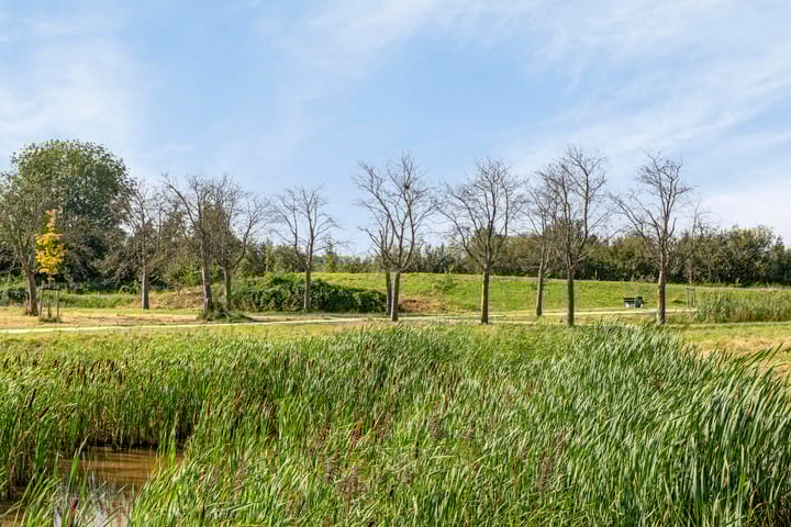 Foto 38 van Boomgaard 21