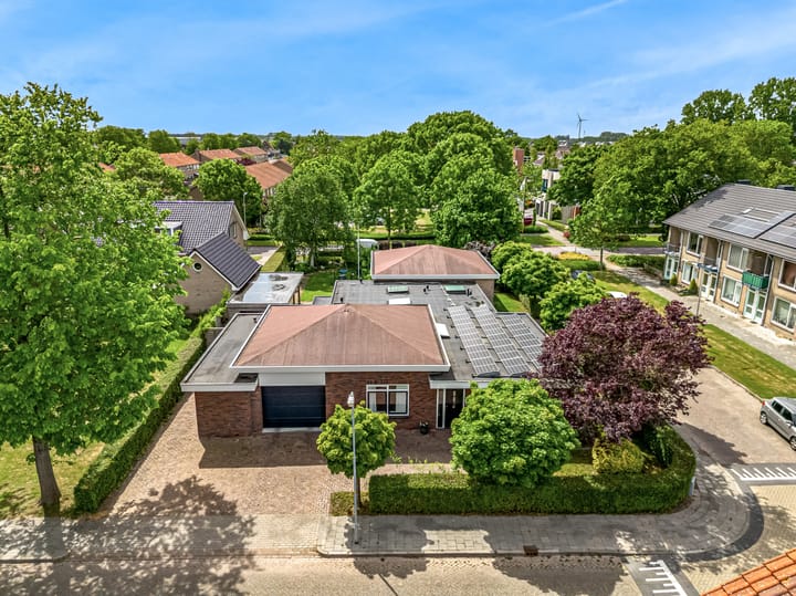 Foto 1 van Olympiaweg 48-A