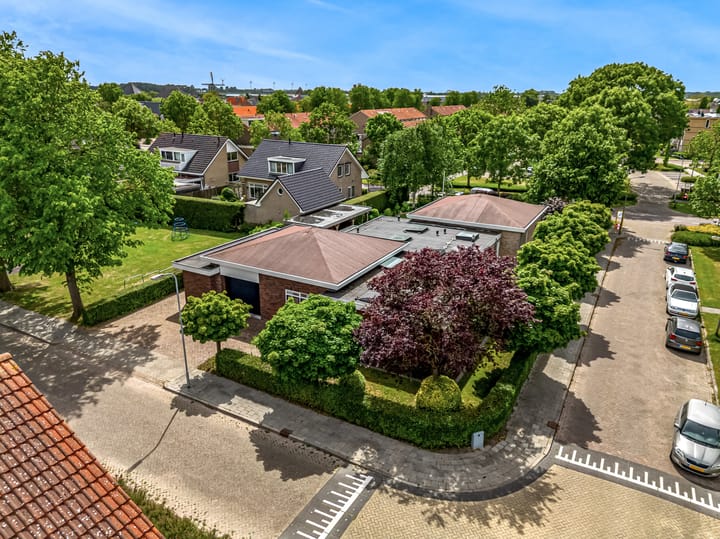 Foto 5 van Olympiaweg 48-A