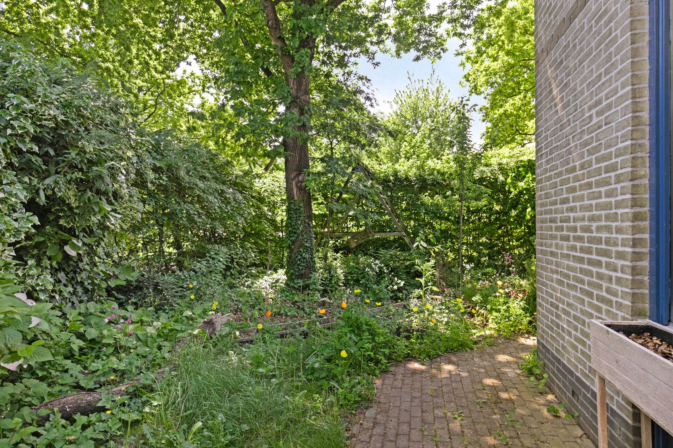 Foto 30 van Pastoor Pieckweg 22