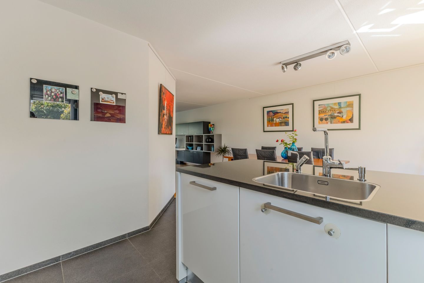 Foto 14 van Zwarte Dolfijn 61