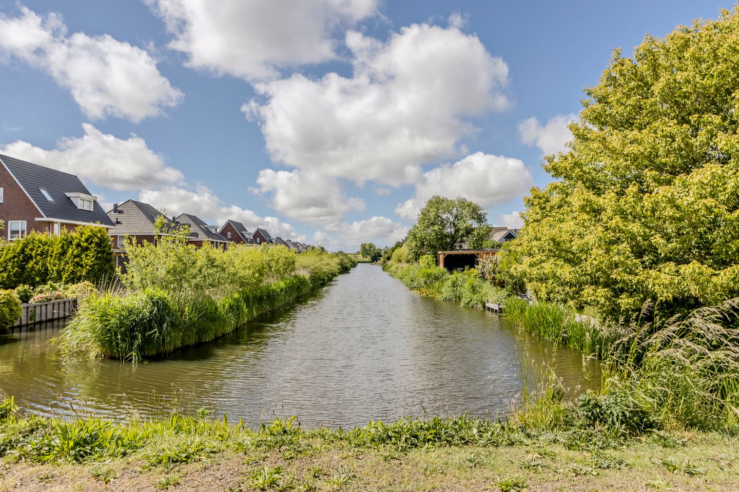 Foto 44 van Zwarte Dolfijn 61