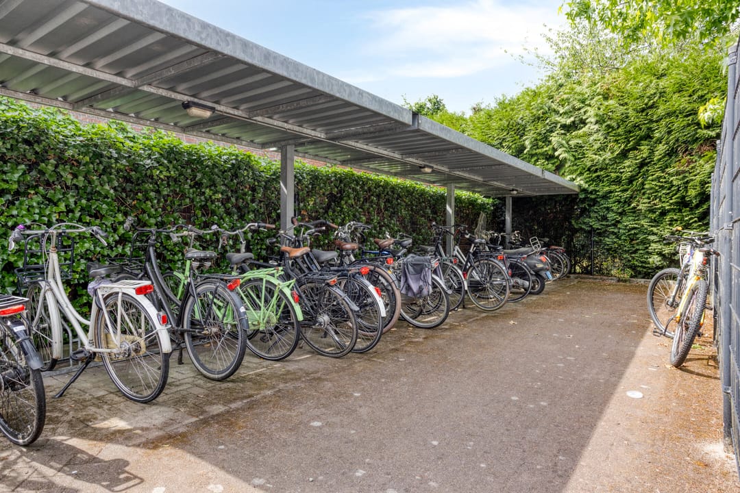 Foto 22 van Moorland 32