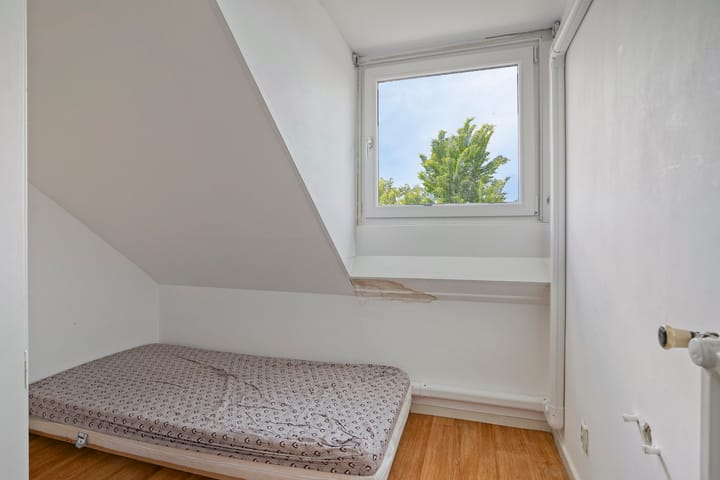 Foto 32 van Adriaen van Ostadelaan 11