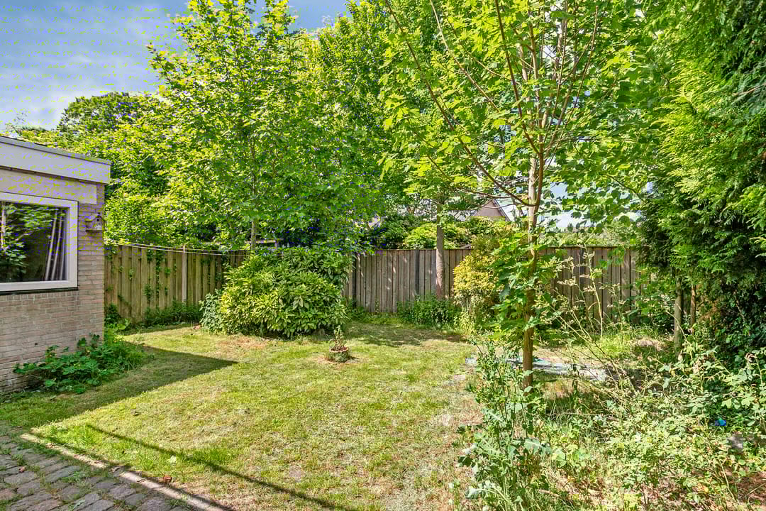 Foto 38 van Adriaen van Ostadelaan 11