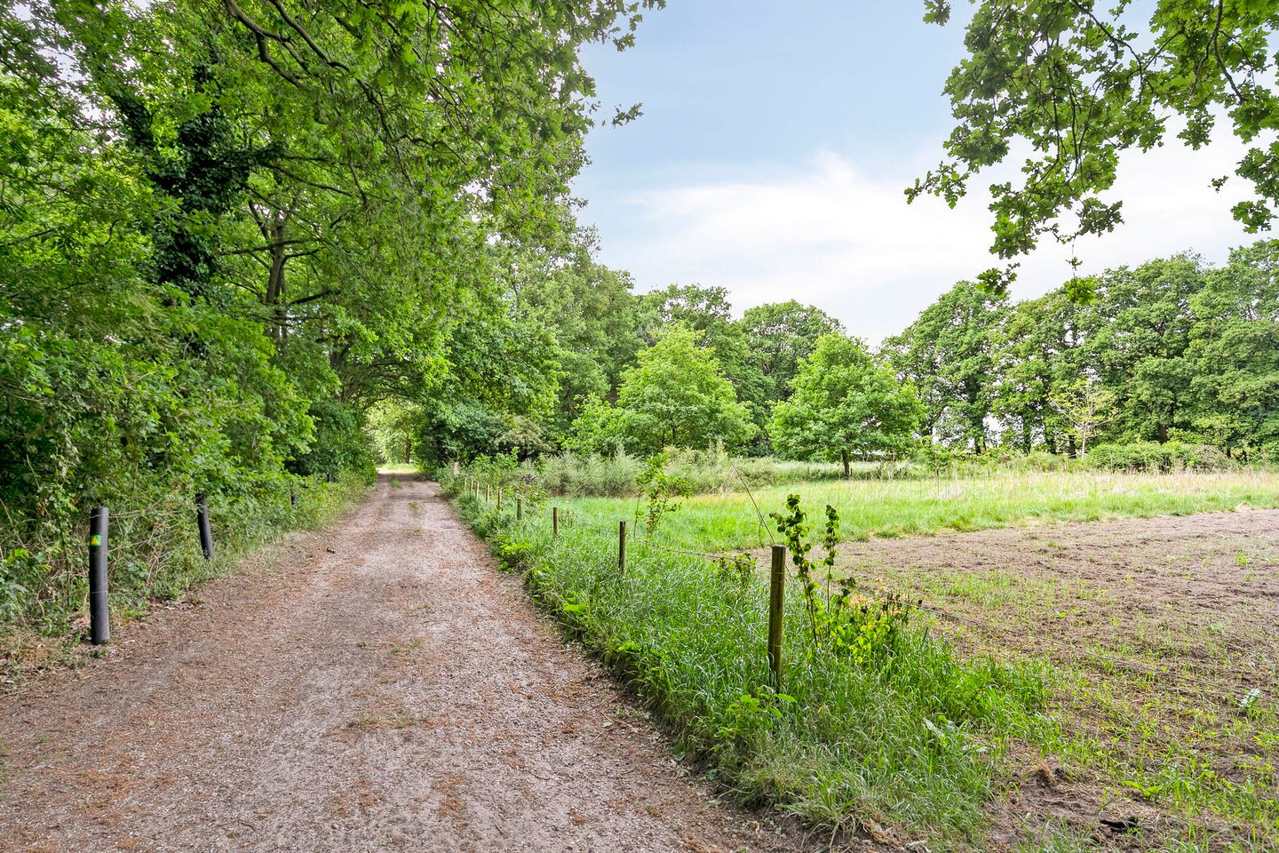 Foto 40 van Adriaen van Ostadelaan 11