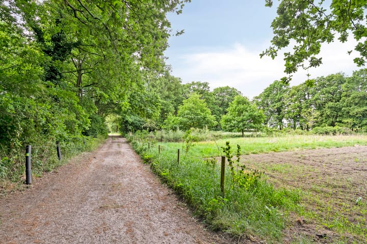 Foto 40 van Adriaen van Ostadelaan 11