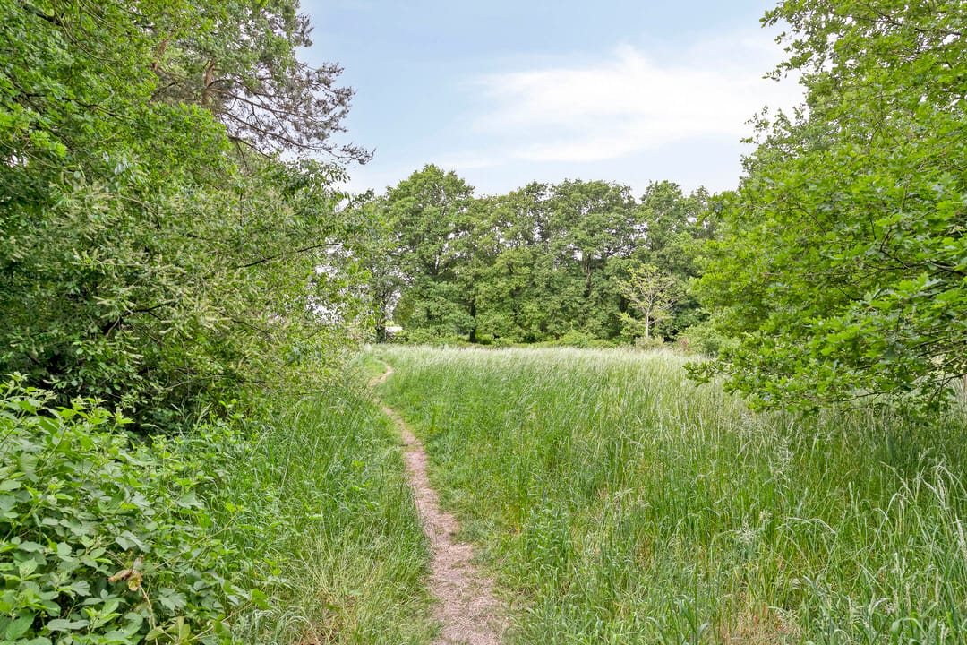 Foto 41 van Adriaen van Ostadelaan 11