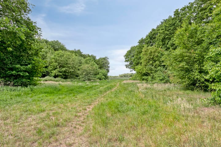 Foto 42 van Adriaen van Ostadelaan 11