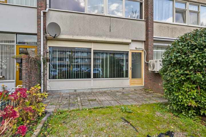 Robinsonstraat 203