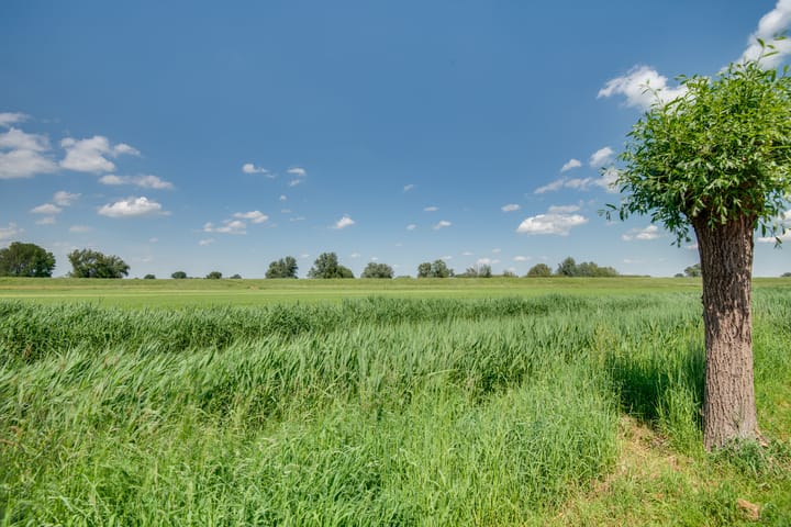 Foto 32 van Tarweakker 18