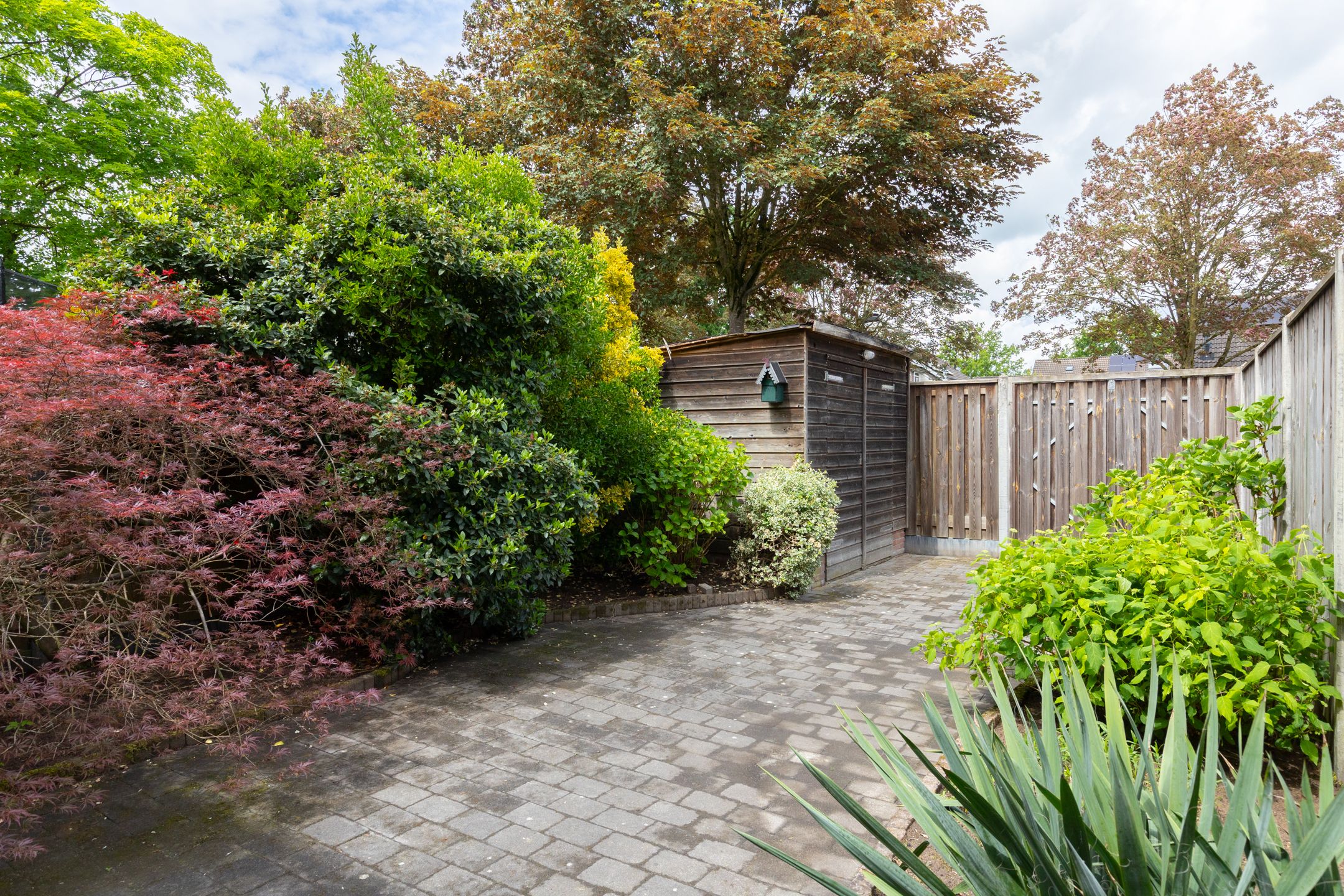 Foto 36 van Venus 16