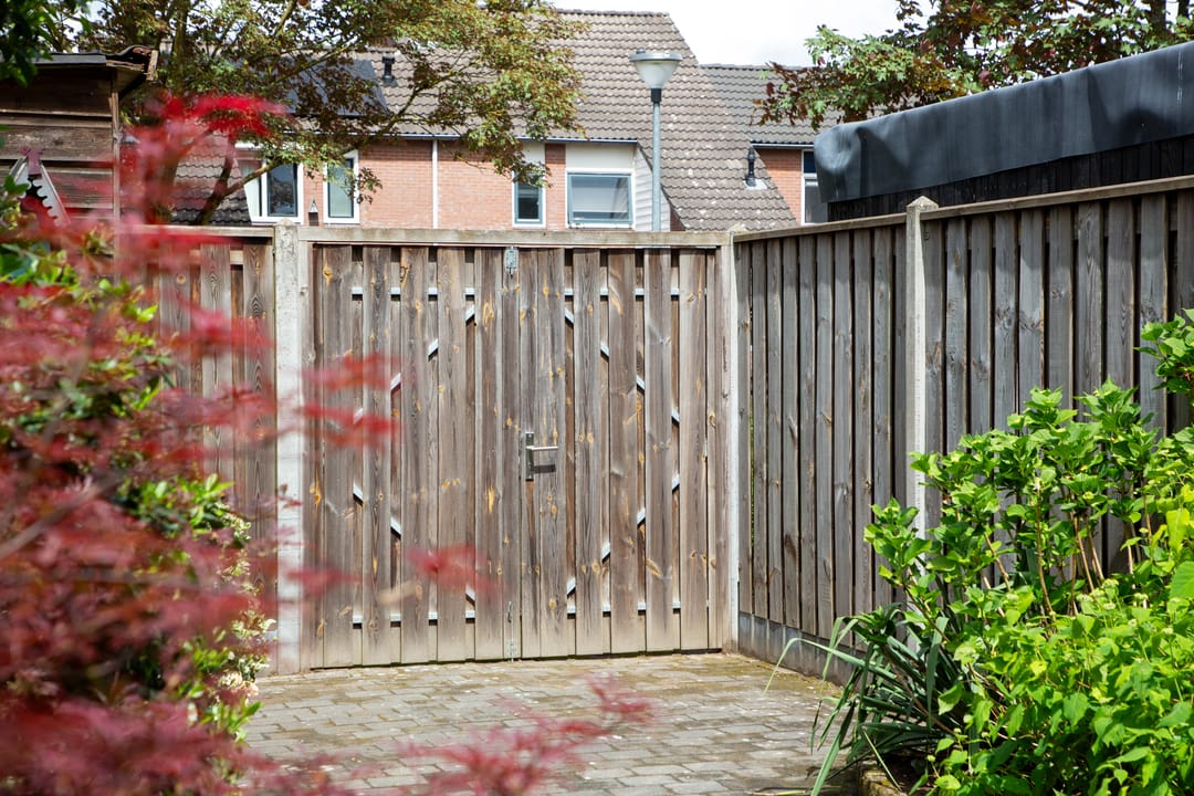 Foto 37 van Venus 16