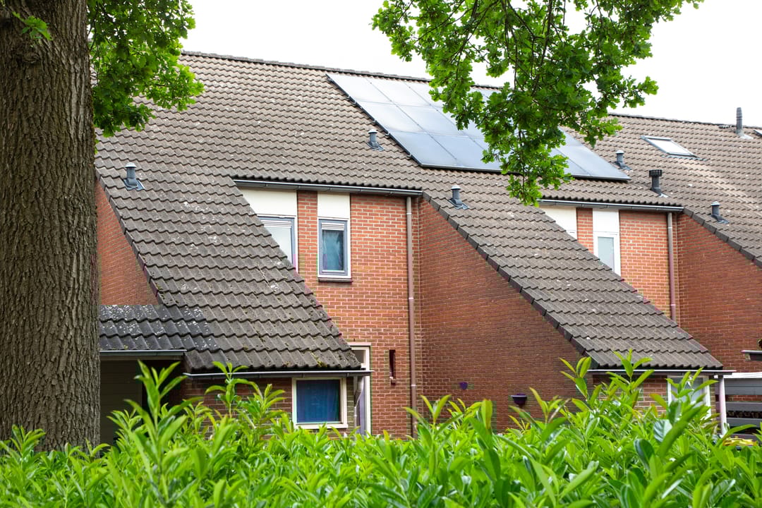 Foto 38 van Venus 16