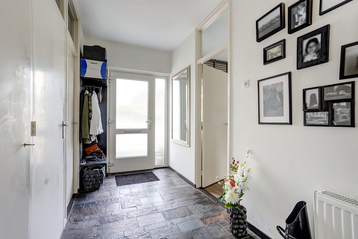 Foto 24 van de Bird 104