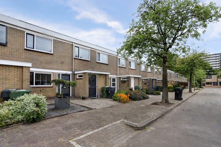 Foto 33 van de Bird 104