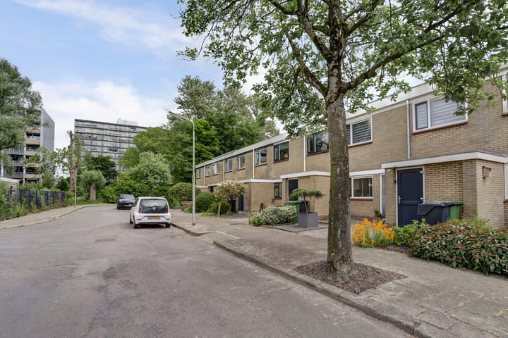 Foto 34 van de Bird 104