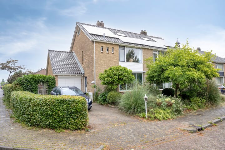 undefined main image
