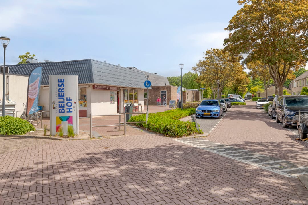 Photo 38 of Wiardi Beckmanstraat 4