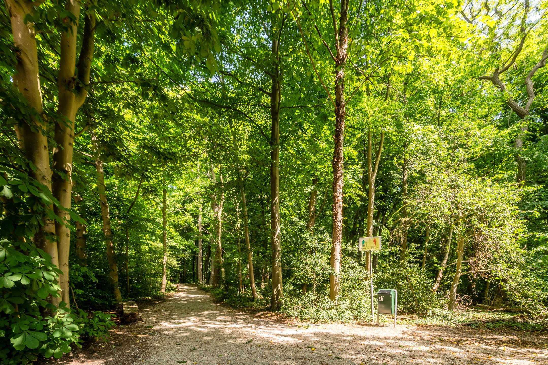 Photo 51 of Oranjelaan 4