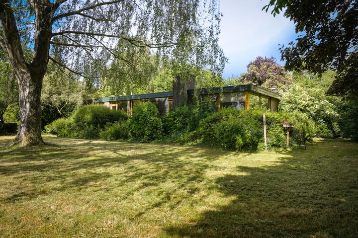 undefined main image