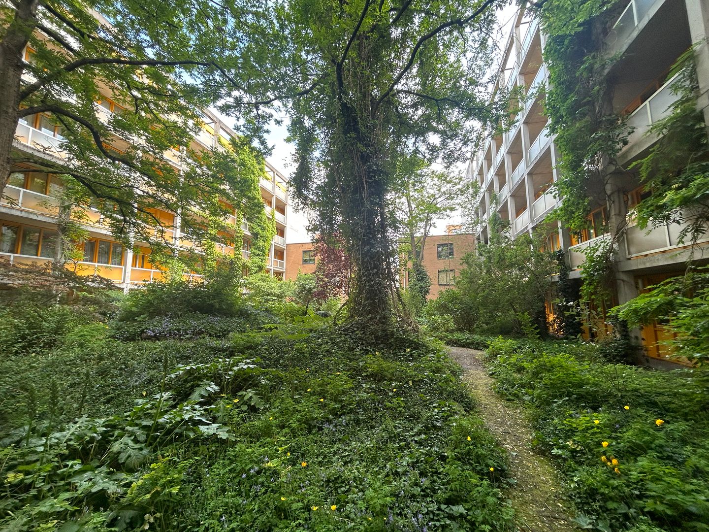 Foto 25 van Arthur van Schendelstraat 633