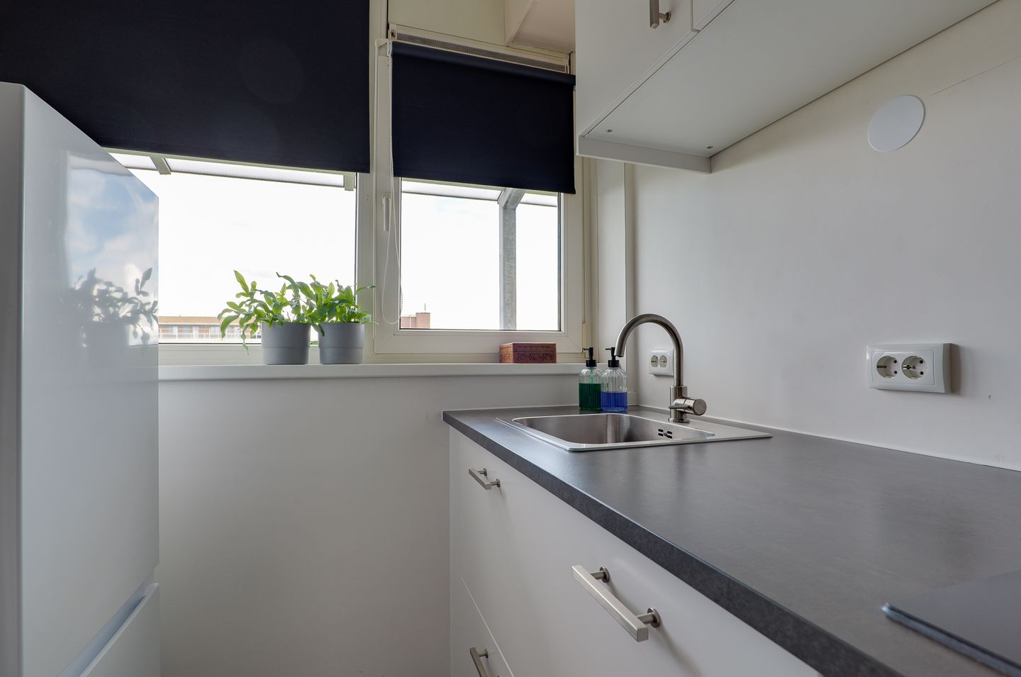 Foto 20 van Maria in Campislaan 169