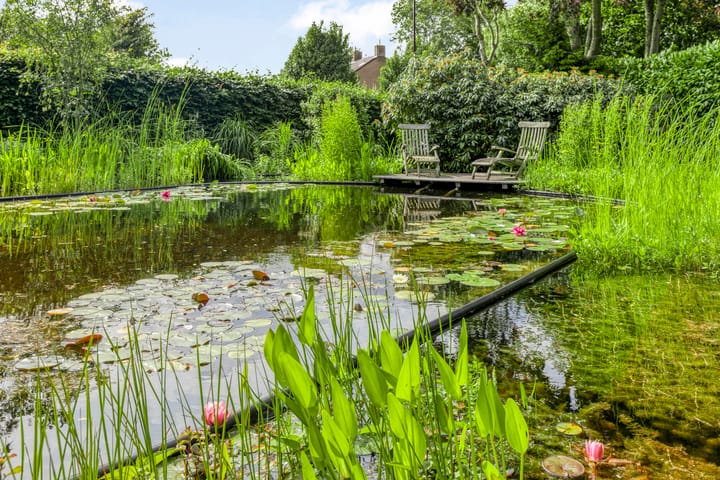 Foto 2 van Spuilaan 3