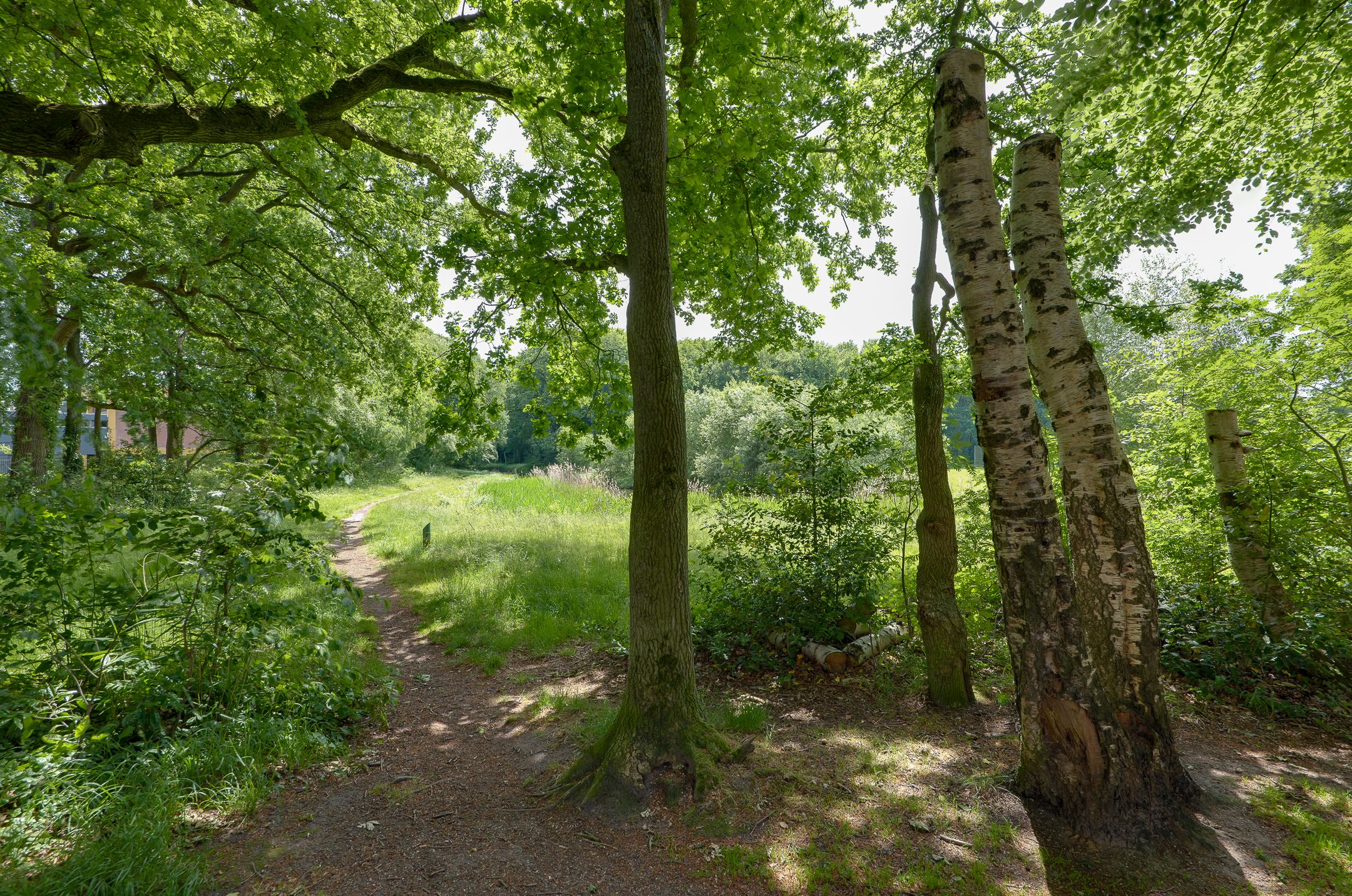 Foto 33 van Maria in Campislaan 169