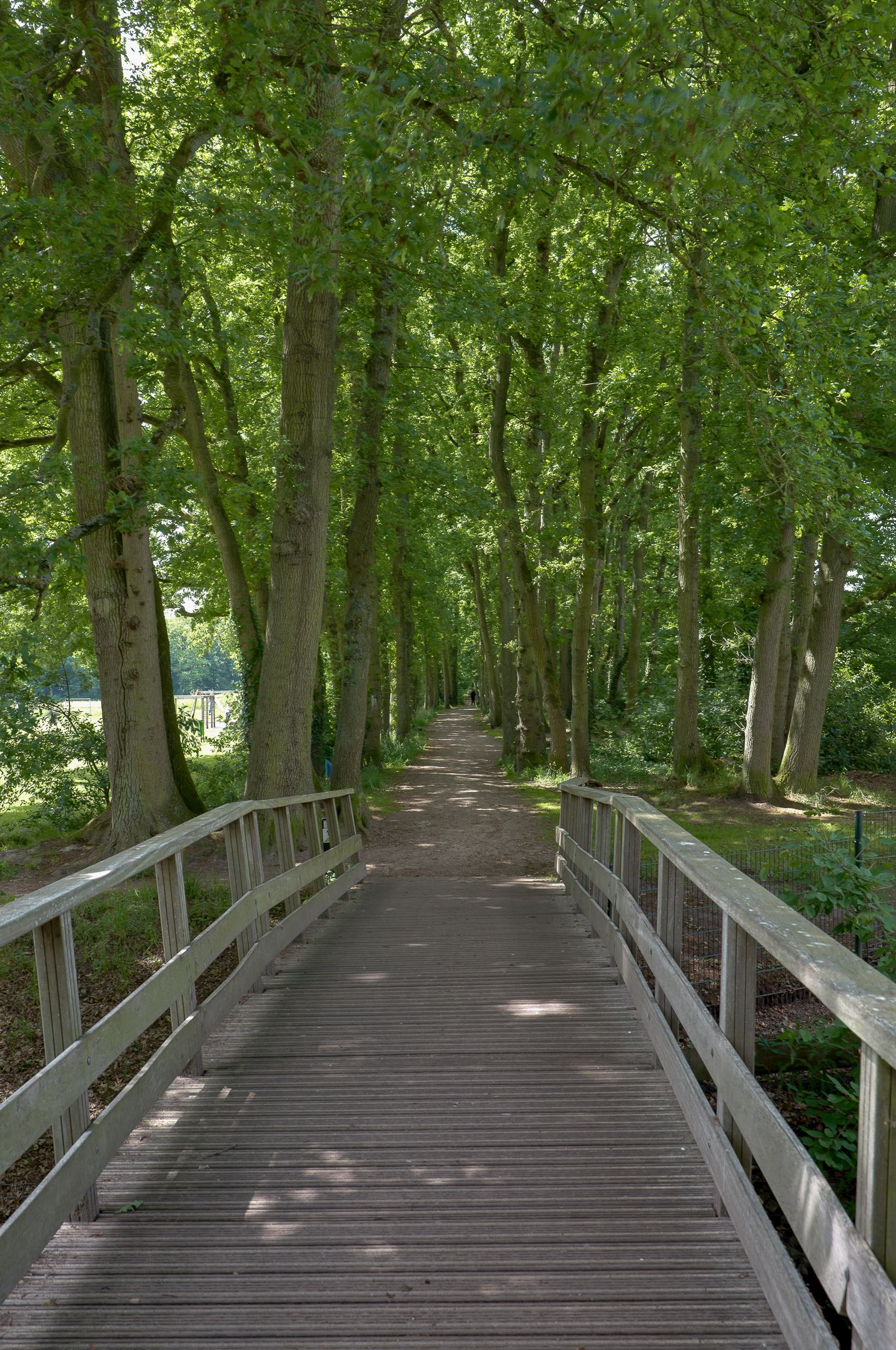 Foto 34 van Maria in Campislaan 169