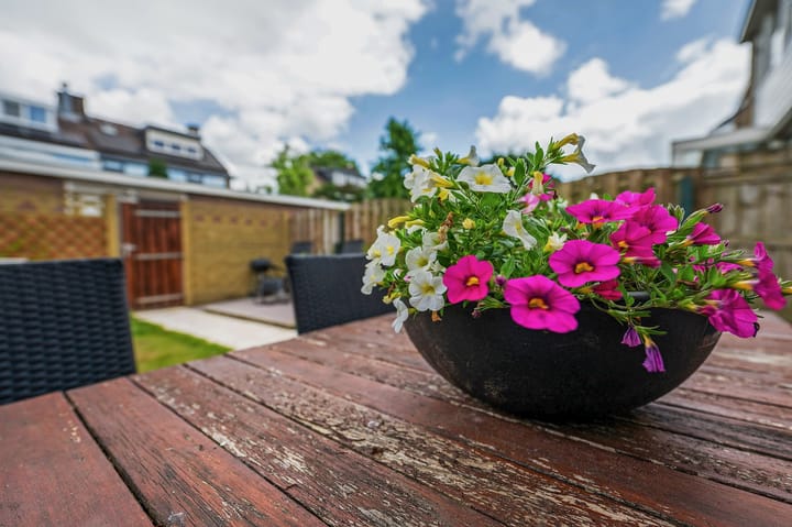 Foto 32 van Wilgenstraat 17