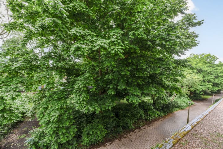 Foto 20 van Van Nijenrodeweg 226